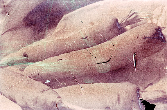 scratches | © MEandMo